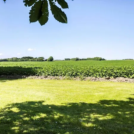 Σπίτι διακοπών Lf21502-spottrup-skovfyrvej-2 Spottrup